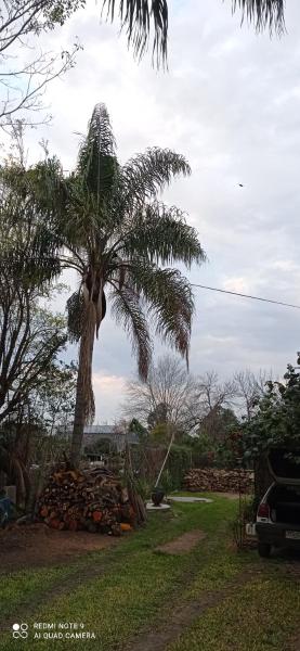 Casanuestra